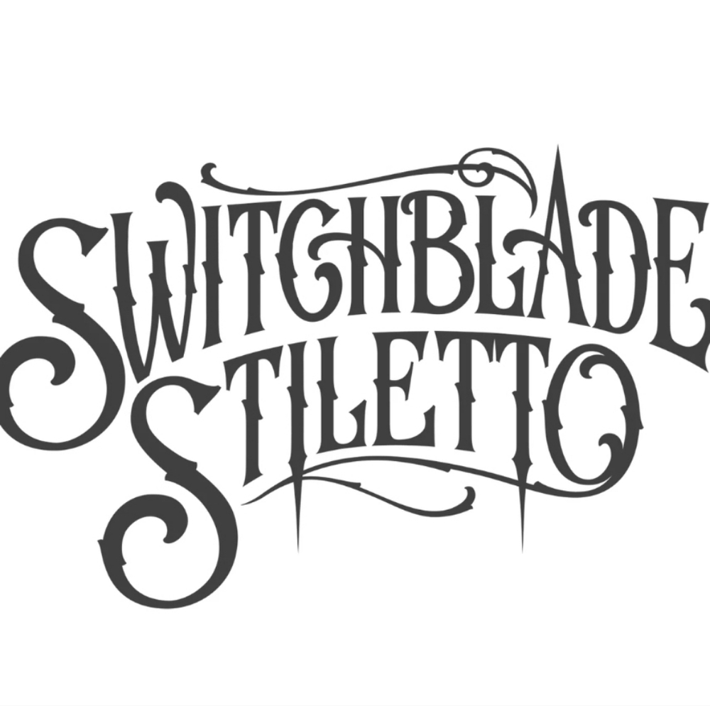 NWT Switchblade Stiletto Black Dress